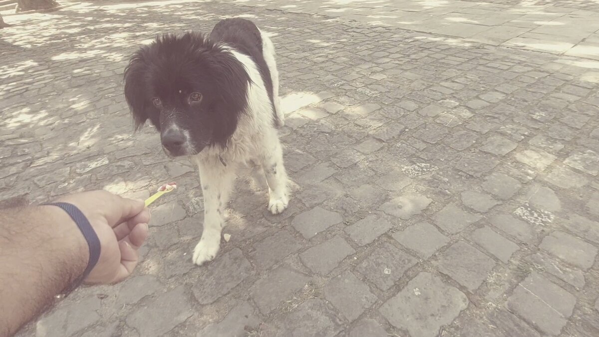 ЛЕ БО 5 (74) - CLOSE WAYS ALL