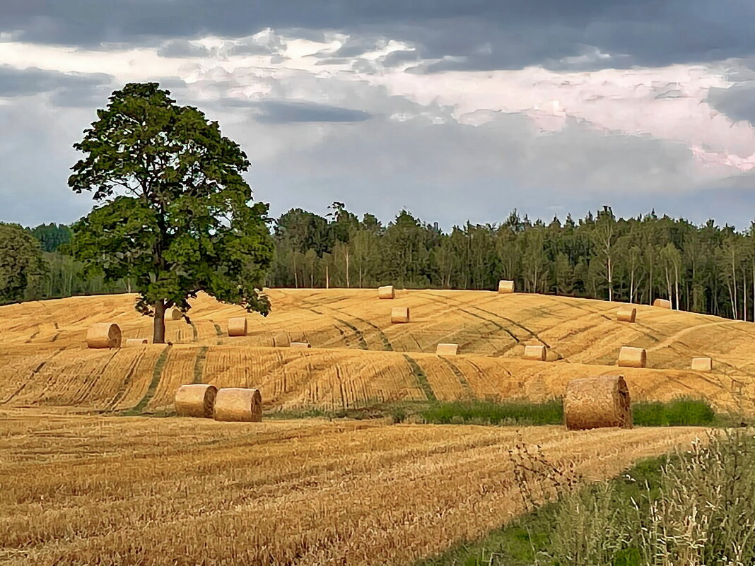 Summer 2025 2 - Arturs Ancans