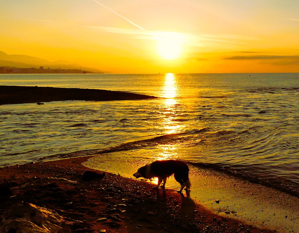 Закаты(серия) - Владимир Манкер Закаты(серия) - Владимир Манкер