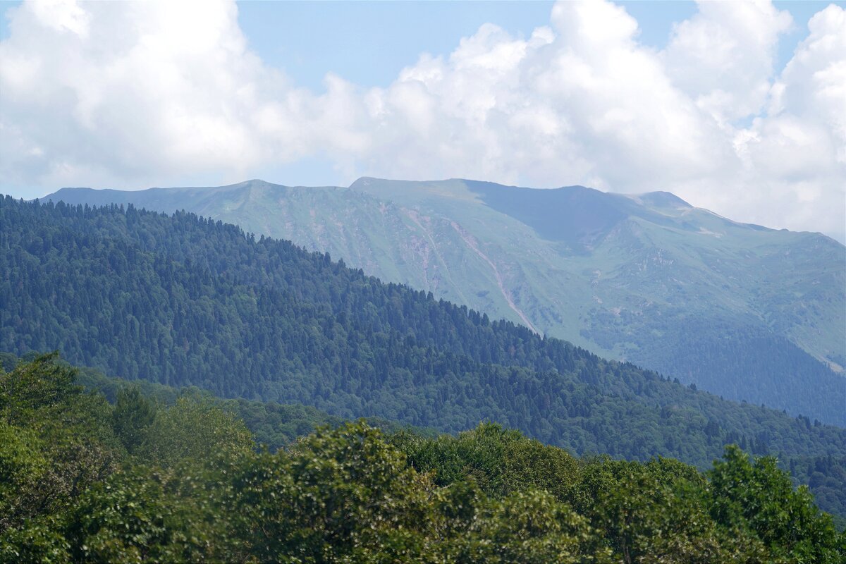 В горах - Татьяна Тюменка