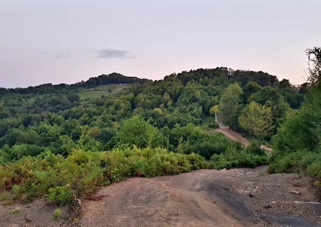 ПЛАСТУНКА - Tata Wolf