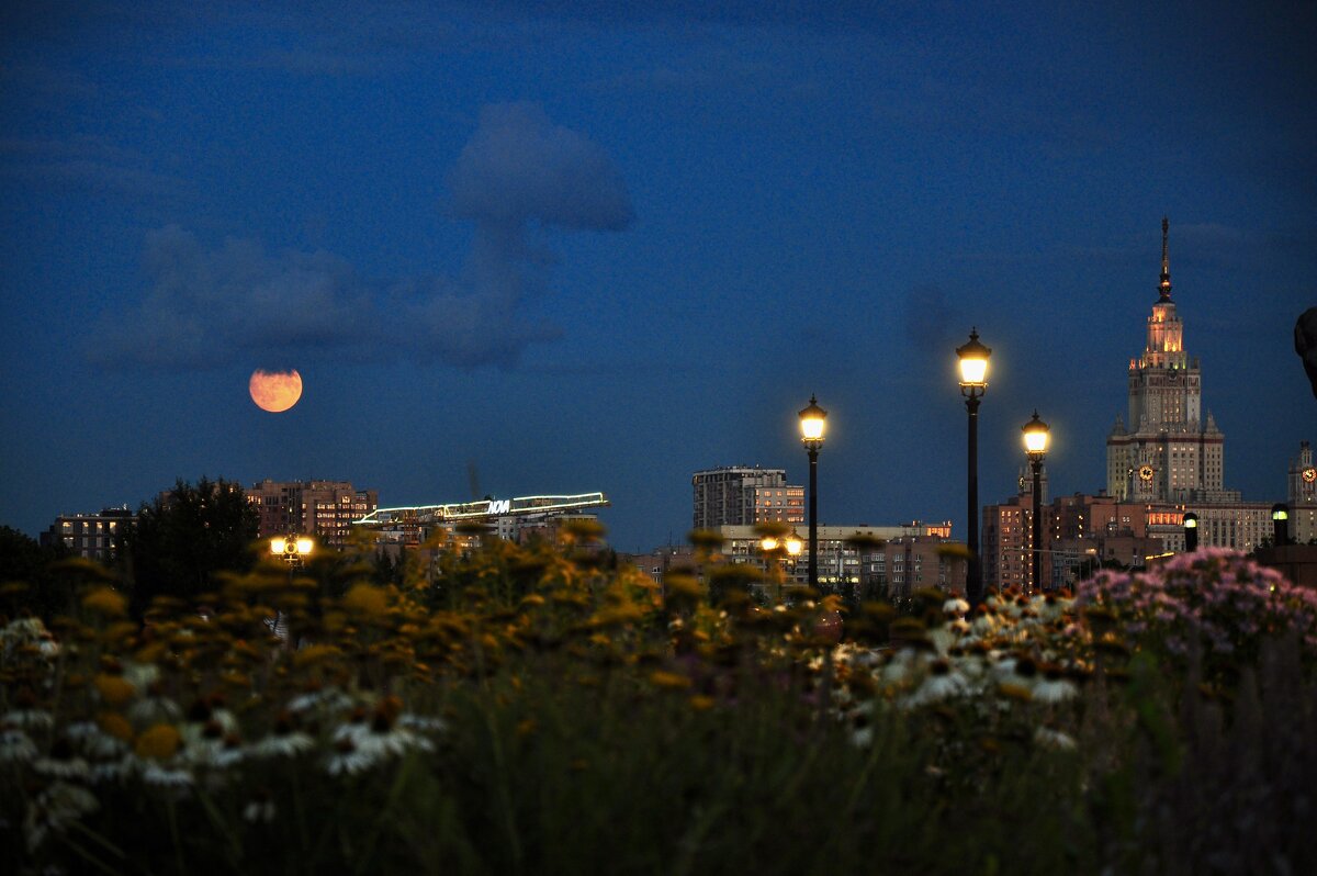 Полная луна - Александр Конов Полная луна - Александр Конов