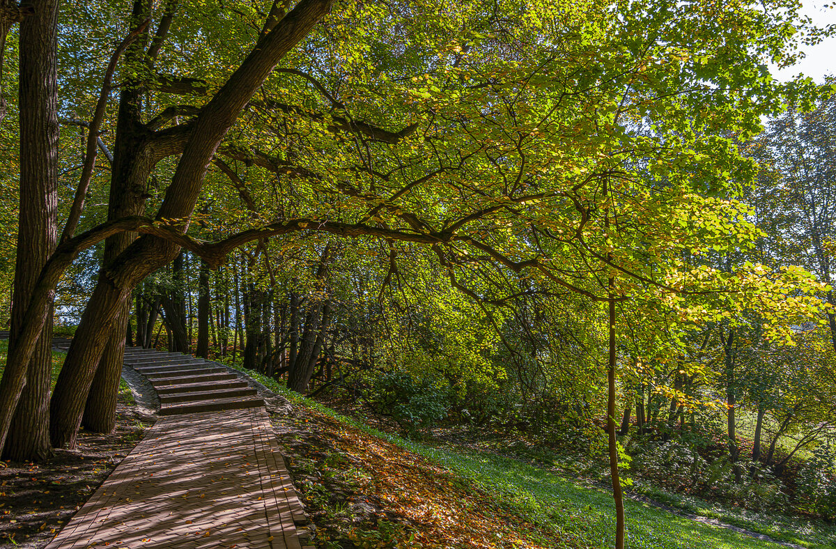 Парки Москвы - Aleksey Afonin Парки Москвы - Aleksey Afonin