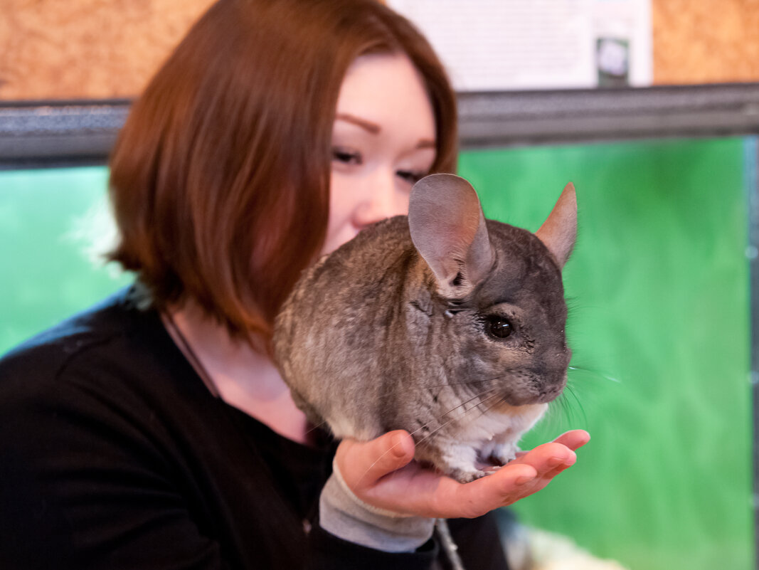 Контактный зоопарк - Андрей 