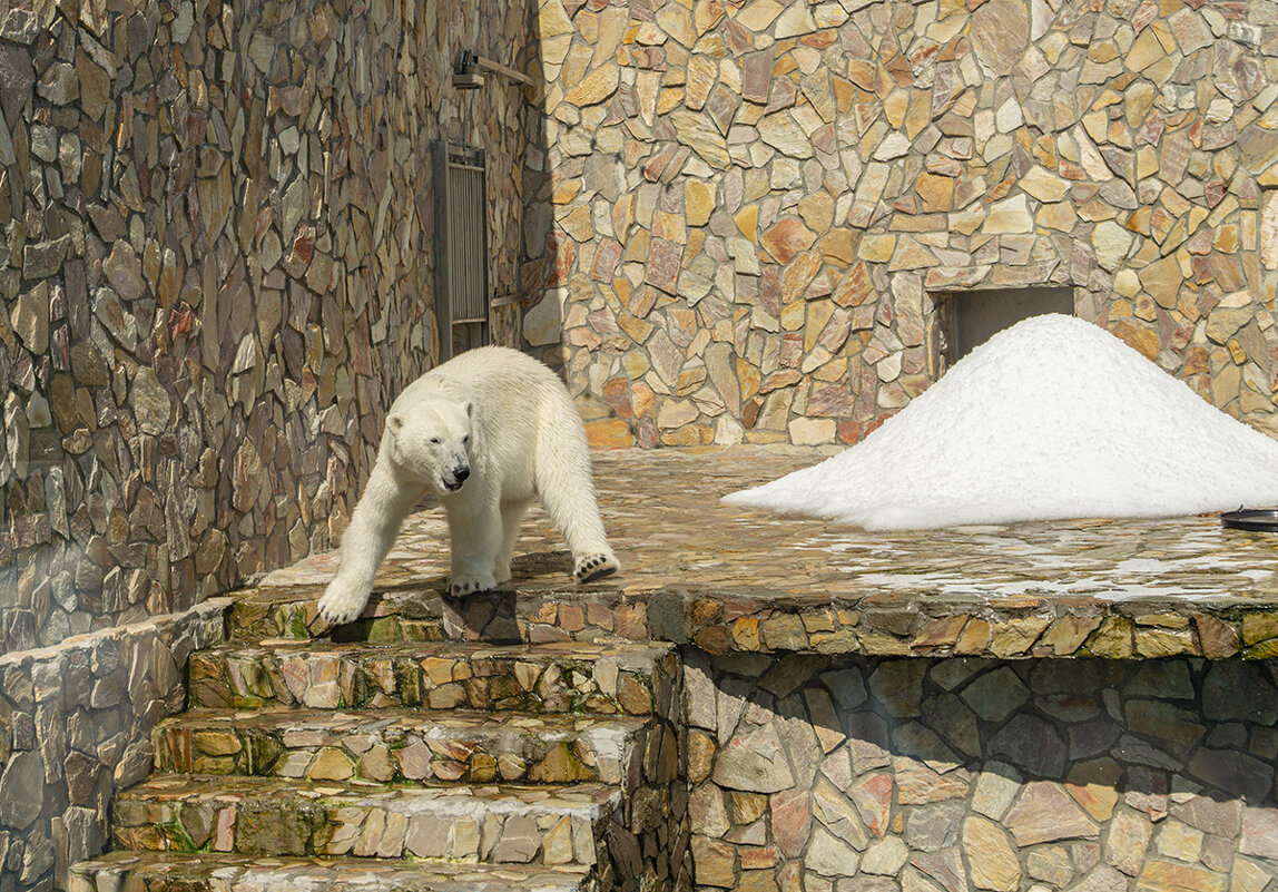 Пойду-ка, я, искупаюсь! - Ирина Соловьёва