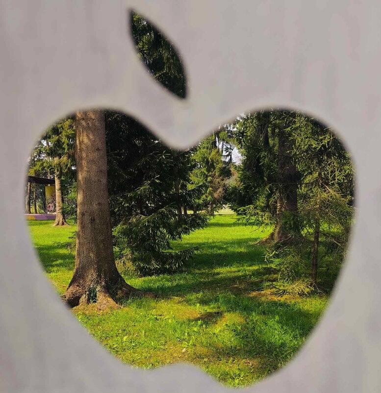 Такие разные яблочки - Галина Бобкина