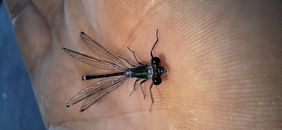 . - Сергей Асташонок