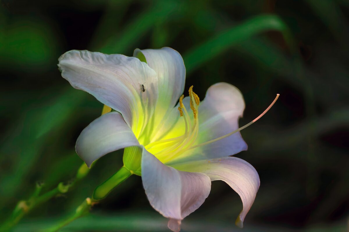 ** - Николай Соколухин