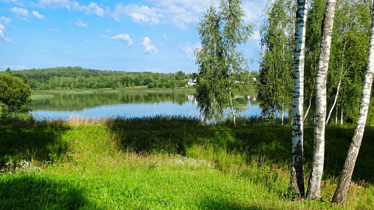 Наше лето. - Милешкин Владимир Алексеевич 