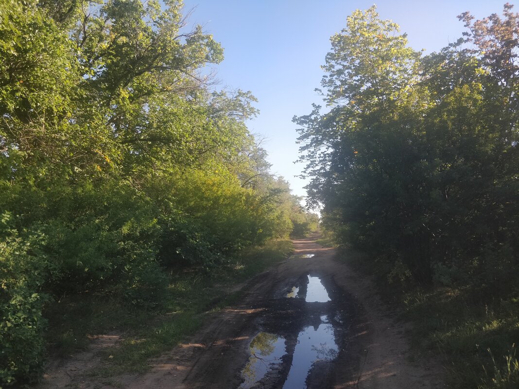 Август,после дождя. - Андрей Хлопонин Август,после дождя. - Андрей Хлопонин