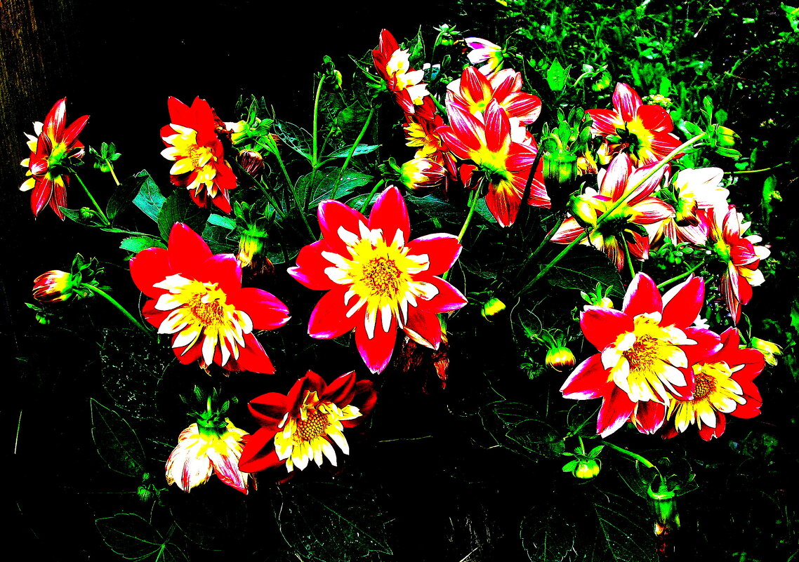 Во всей красе - Людмила Смородинская