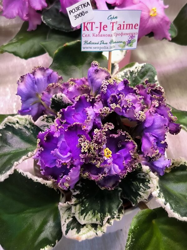 /// - Ольга /// - Ольга