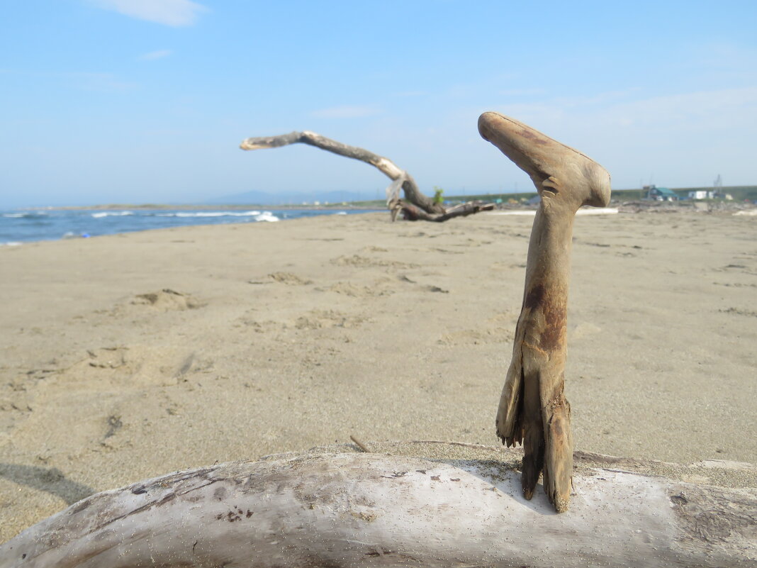 в ожидании прилива. - ИРЭН@ .