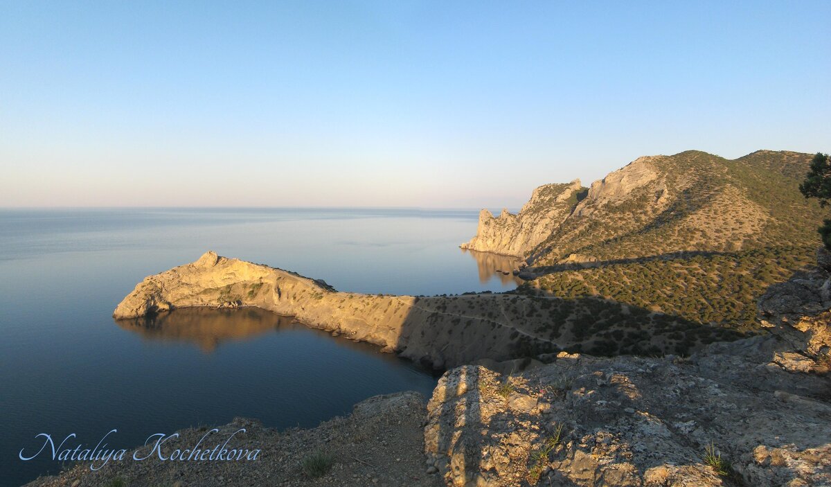 Природа Крыма - Amazing Cosmea