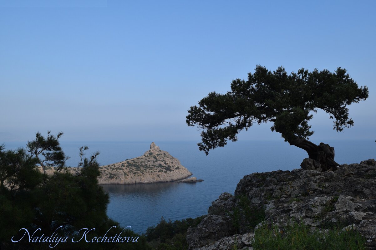 Природа Крыма - Amazing Cosmea Природа Крыма - Amazing Cosmea