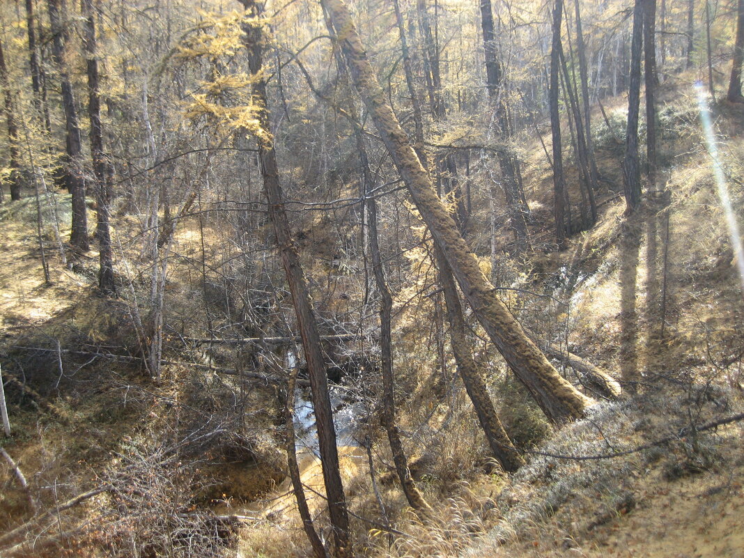 По берегам Шестаковки - Anna Ivanova