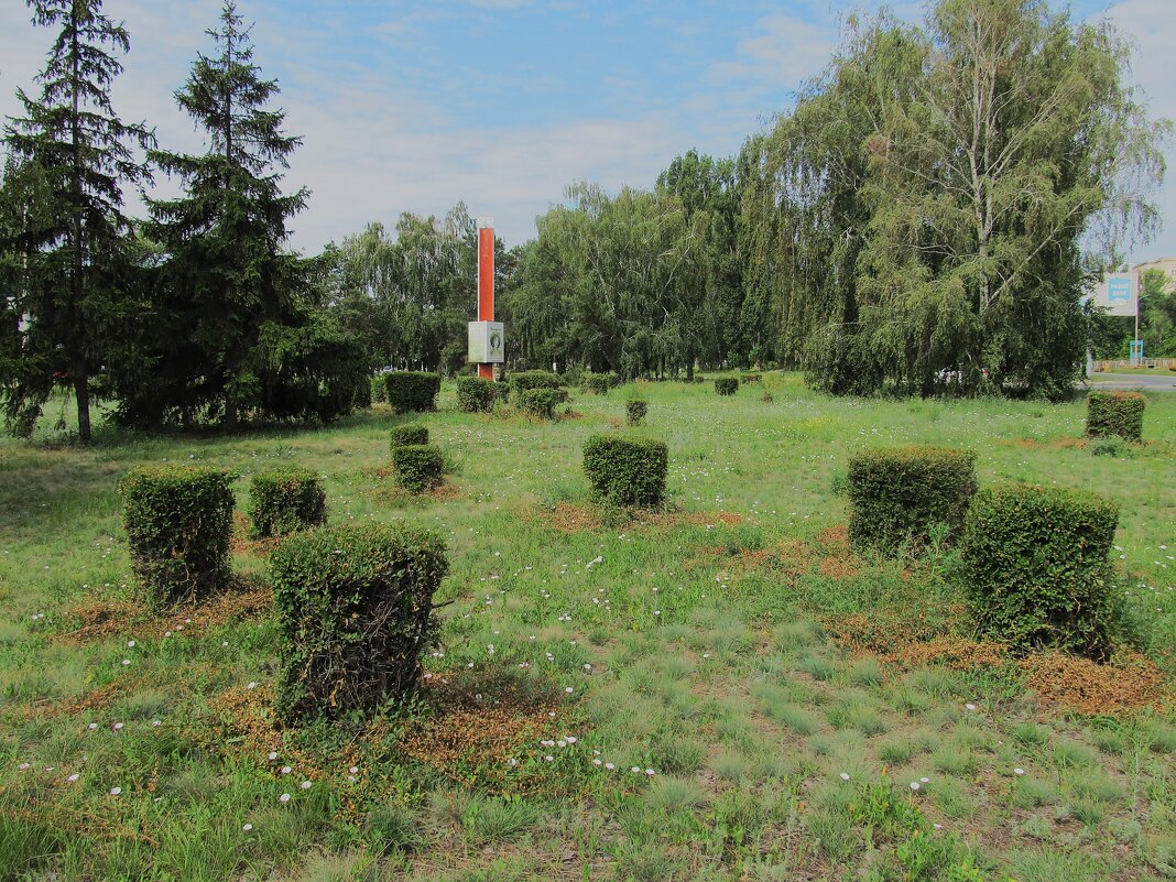 ...... - Елена Шаламова