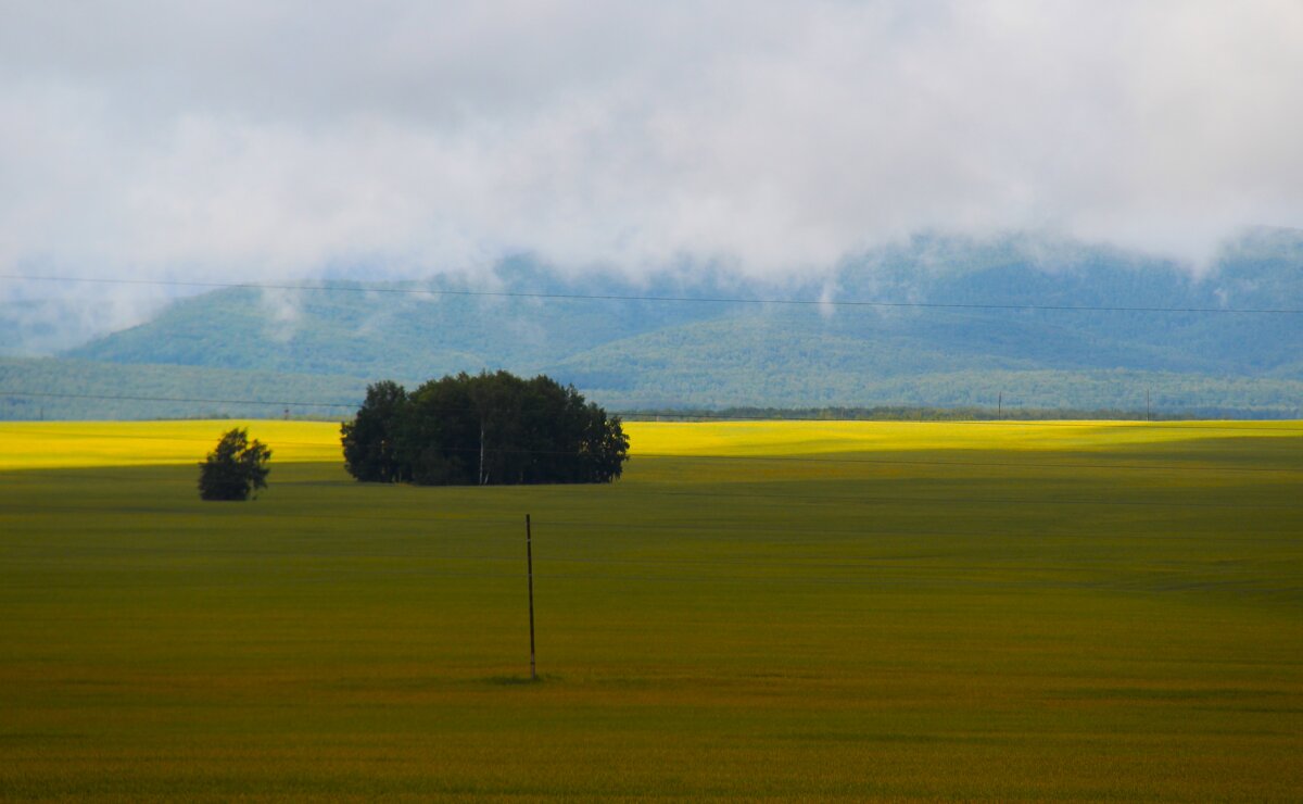 Ширь - Сергей Никифоров