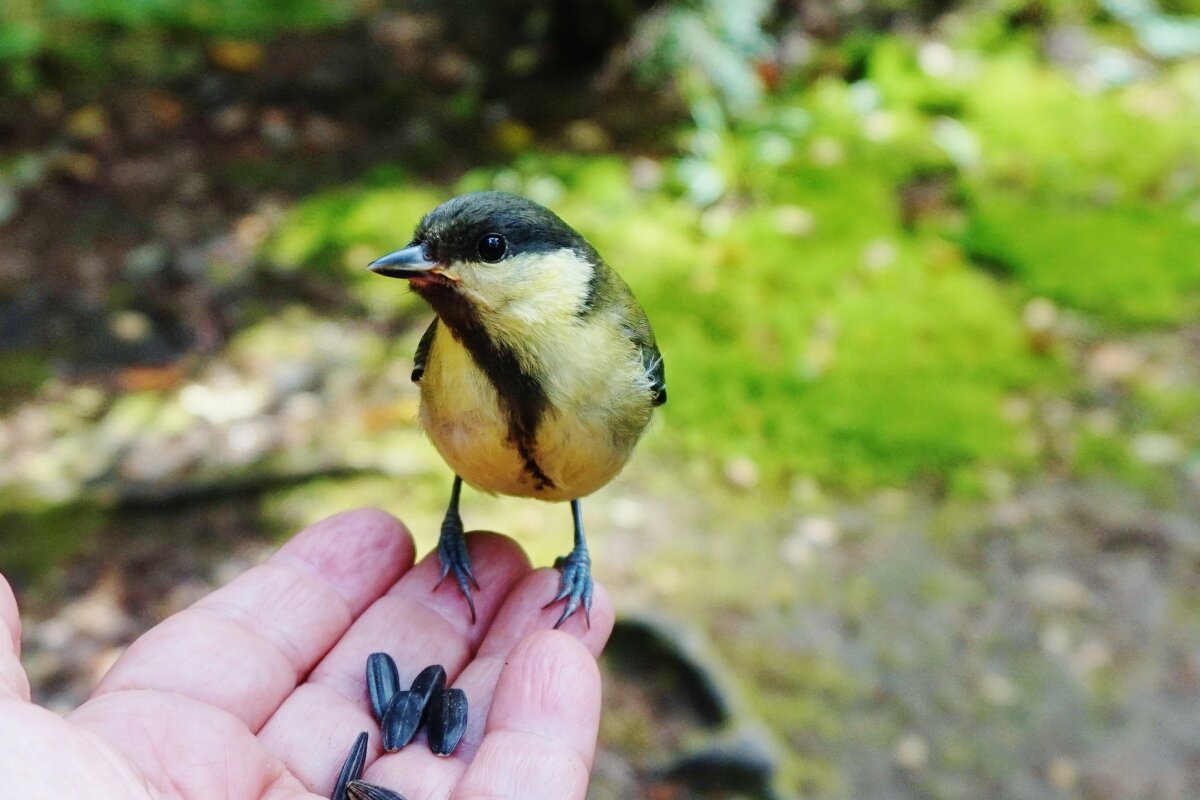 Задумалась - Nataly St. Задумалась - Nataly St.