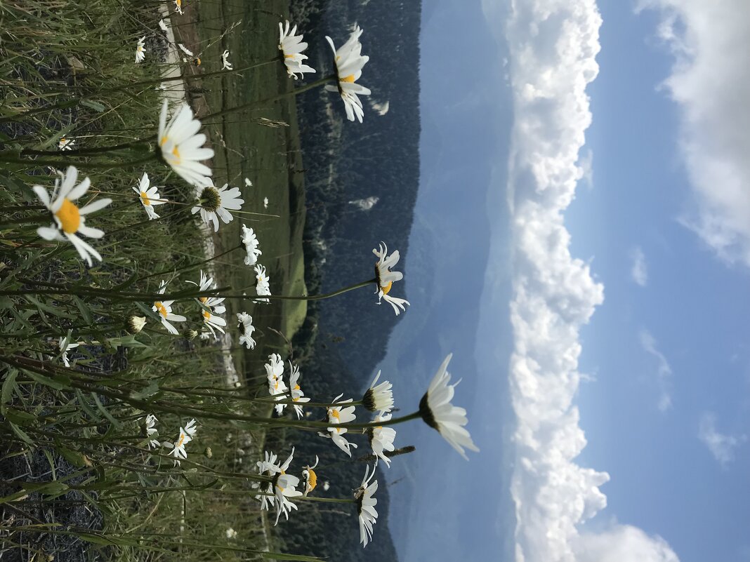 В горах - Pippa 