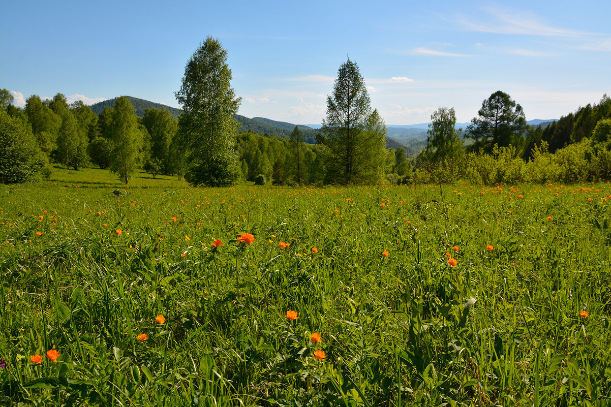 На перевале. - Валерий Медведев На перевале. - Валерий Медведев