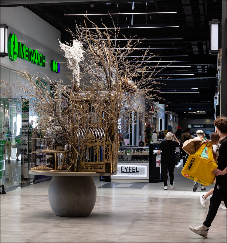 Торговый центр - Александр Тарноградский