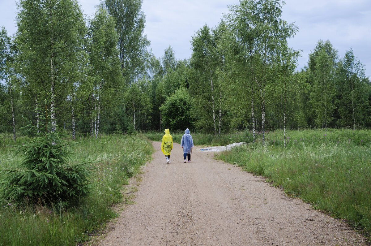 Грибники - Валерий Пославский