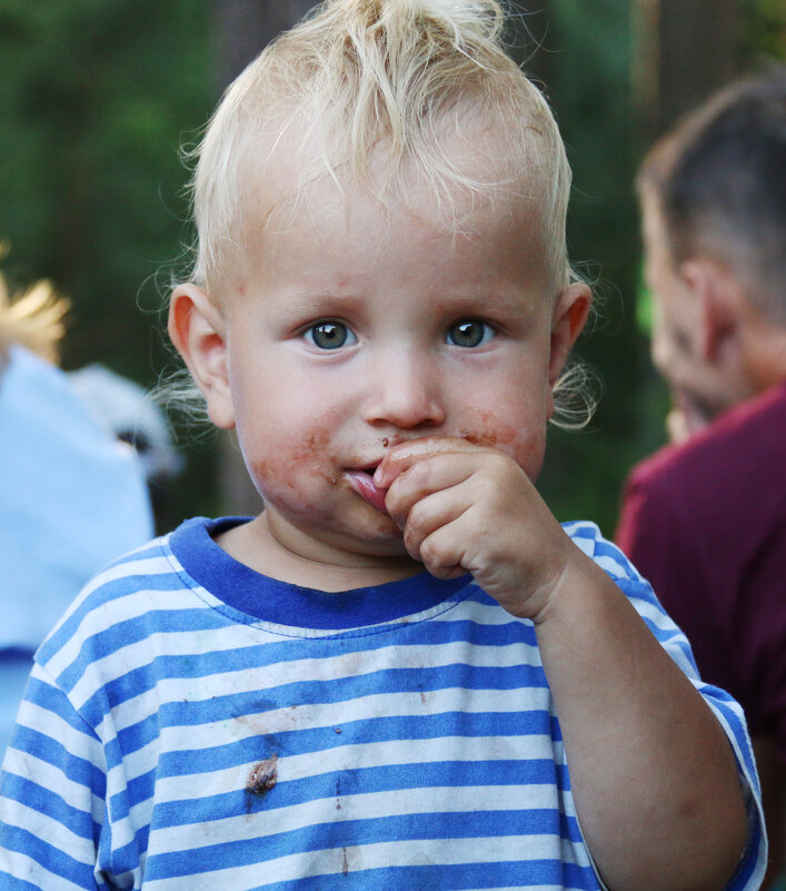 Шоколадку съел... - СЮ 