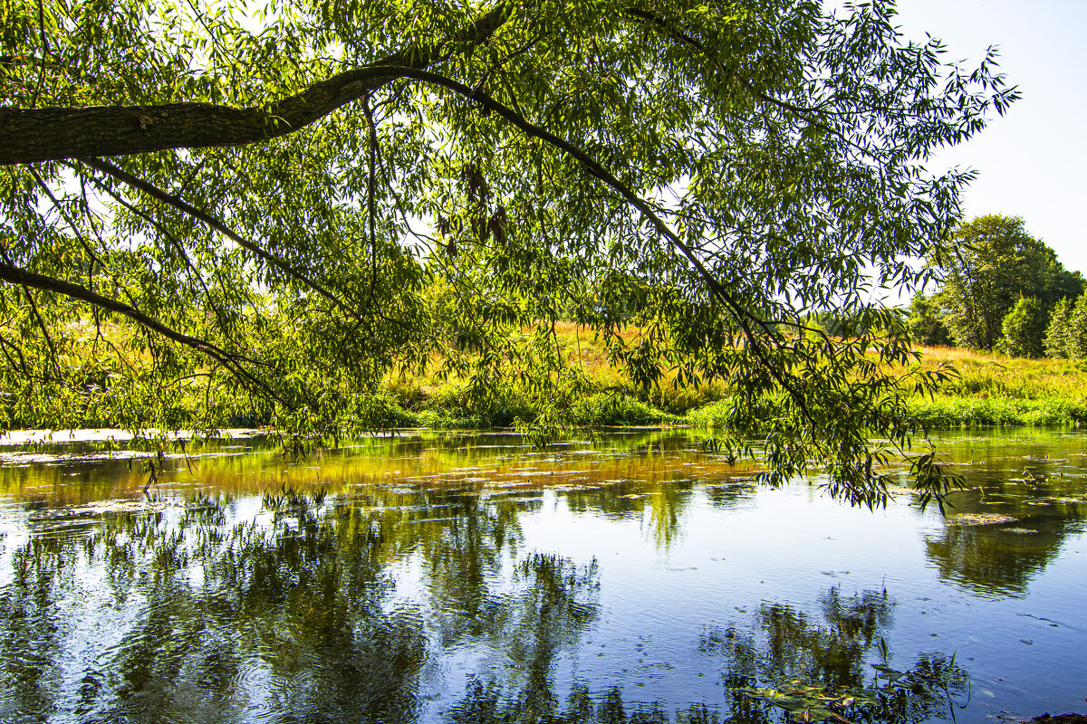 Река Яхрома. - Петр Беляков Река Яхрома. - Петр Беляков