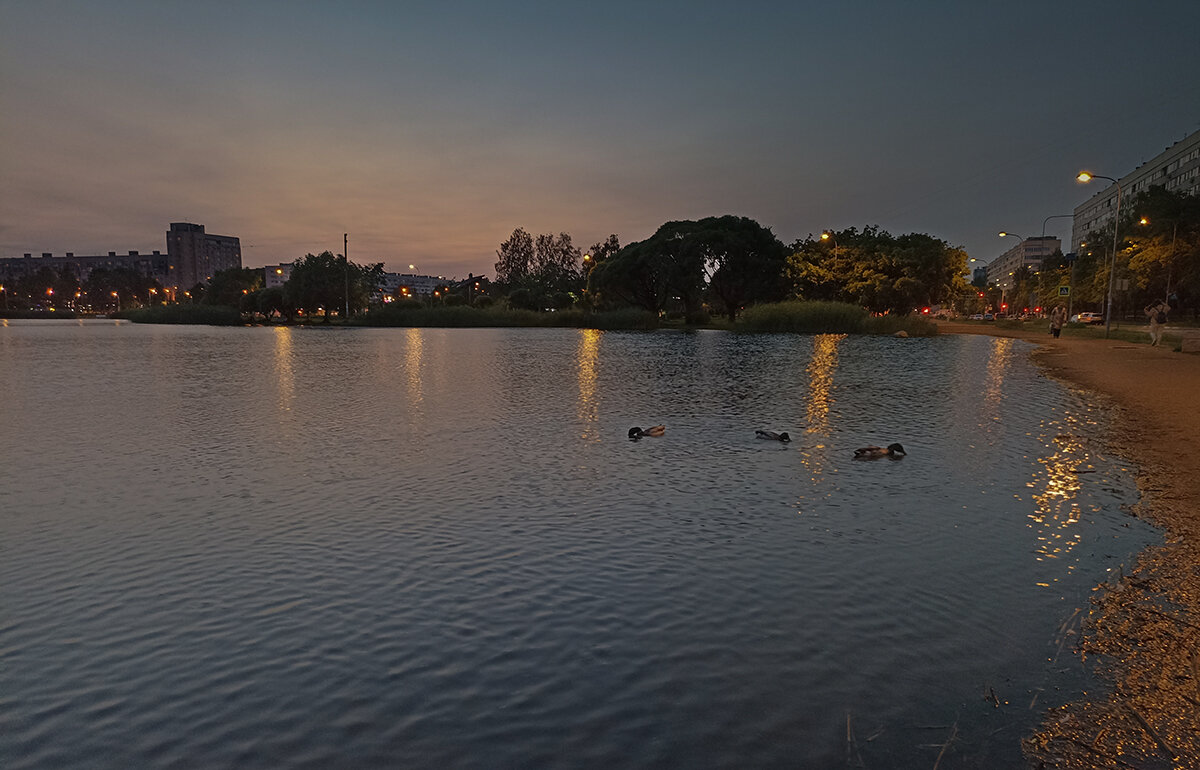 Белые ночи Санкт-Петербурга. - Лилия * Белые ночи Санкт-Петербурга. - Лилия *