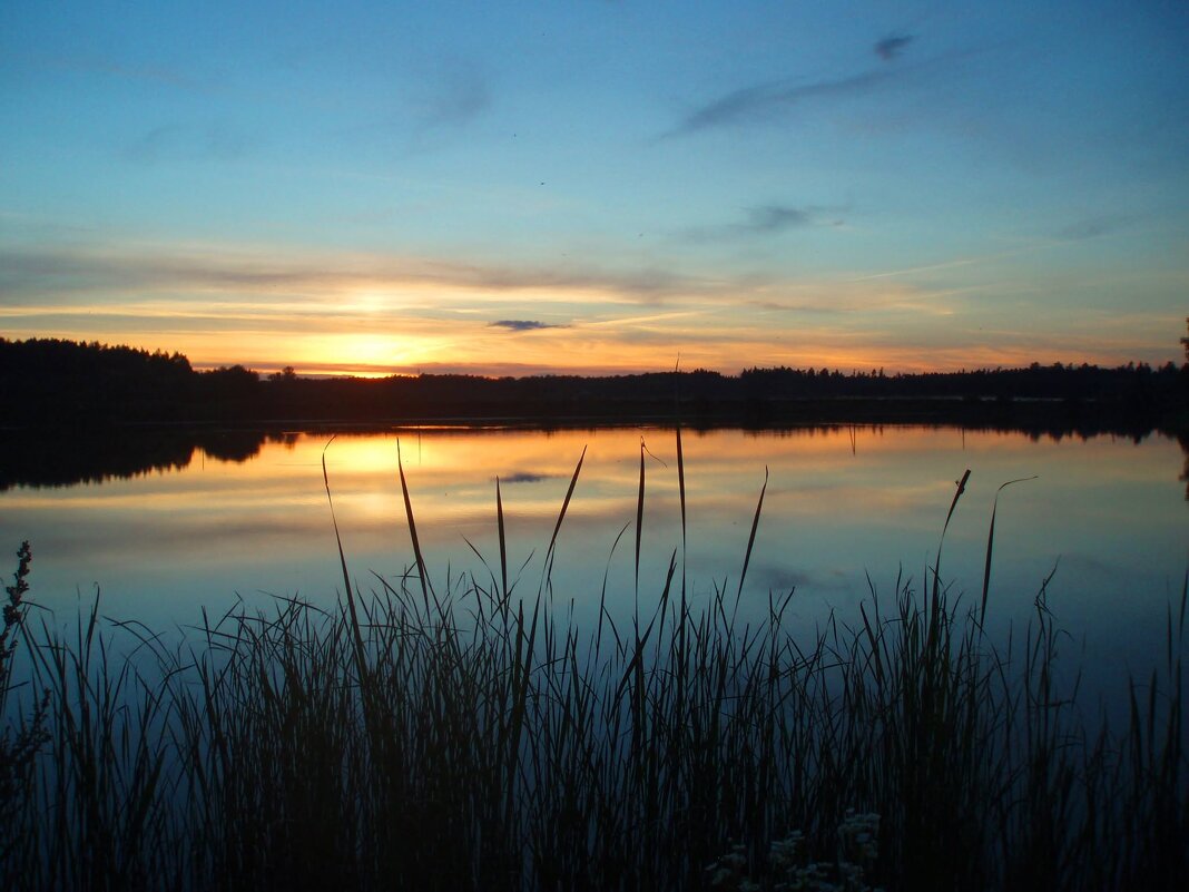 Evening in Panoramio - silvestras gaiziunas gaiziunas Evening in Panoramio - silvestras gaiziunas gaiziunas