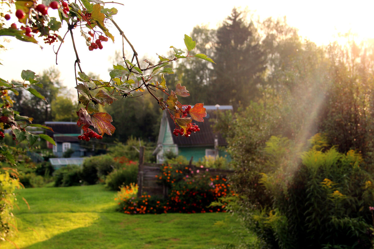 дача - РИТА ЛЕВКОВА