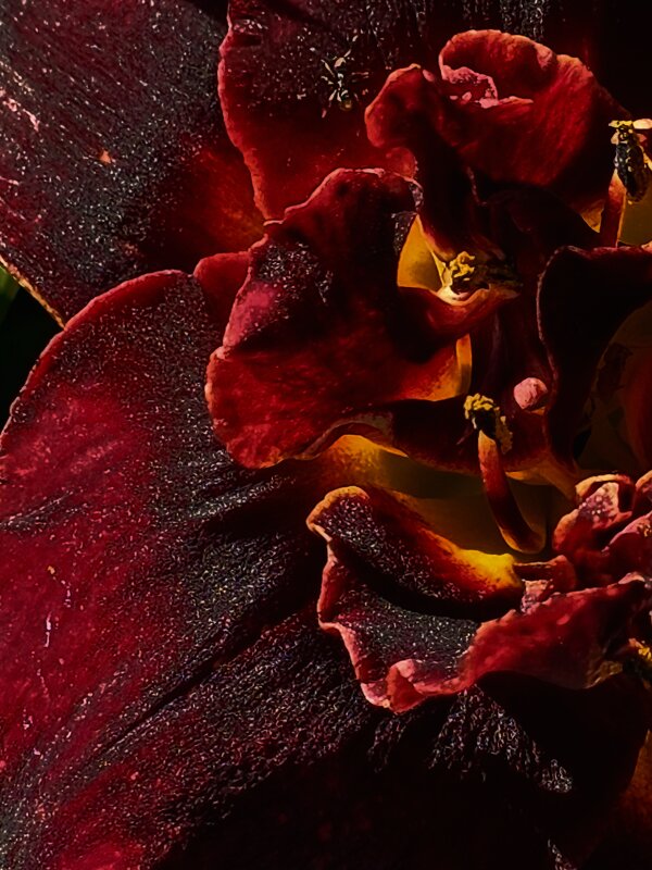 Бархатный принц. - Галина Левина