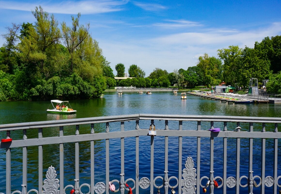 Голицынский пруд в парке Горького - Ольга Голицынский пруд в парке Горького - Ольга