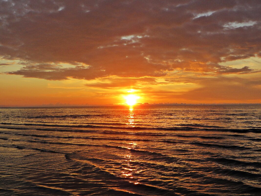 море - марта Камушкина море - марта Камушкина