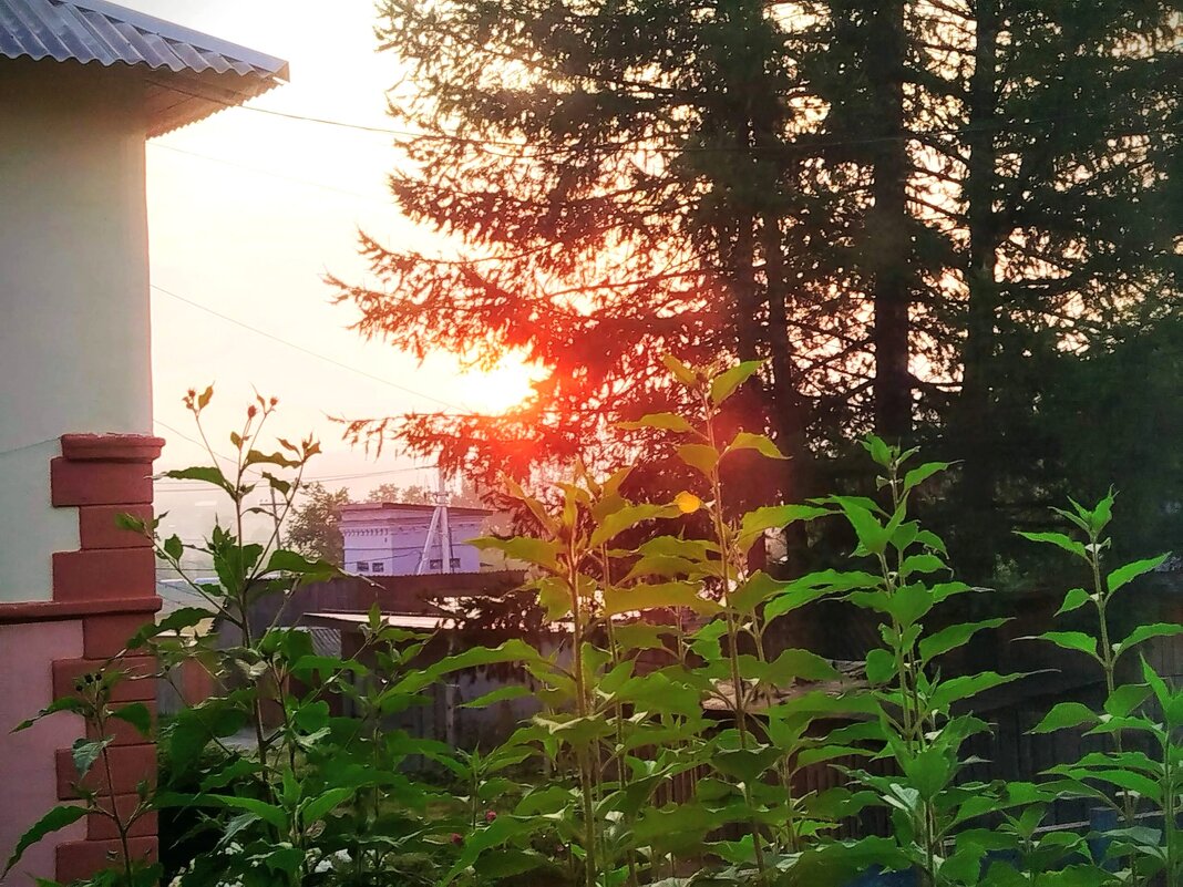 восход - Ольга Конькова