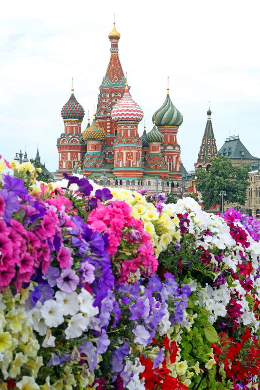 Июнь - Михаил Бибичков