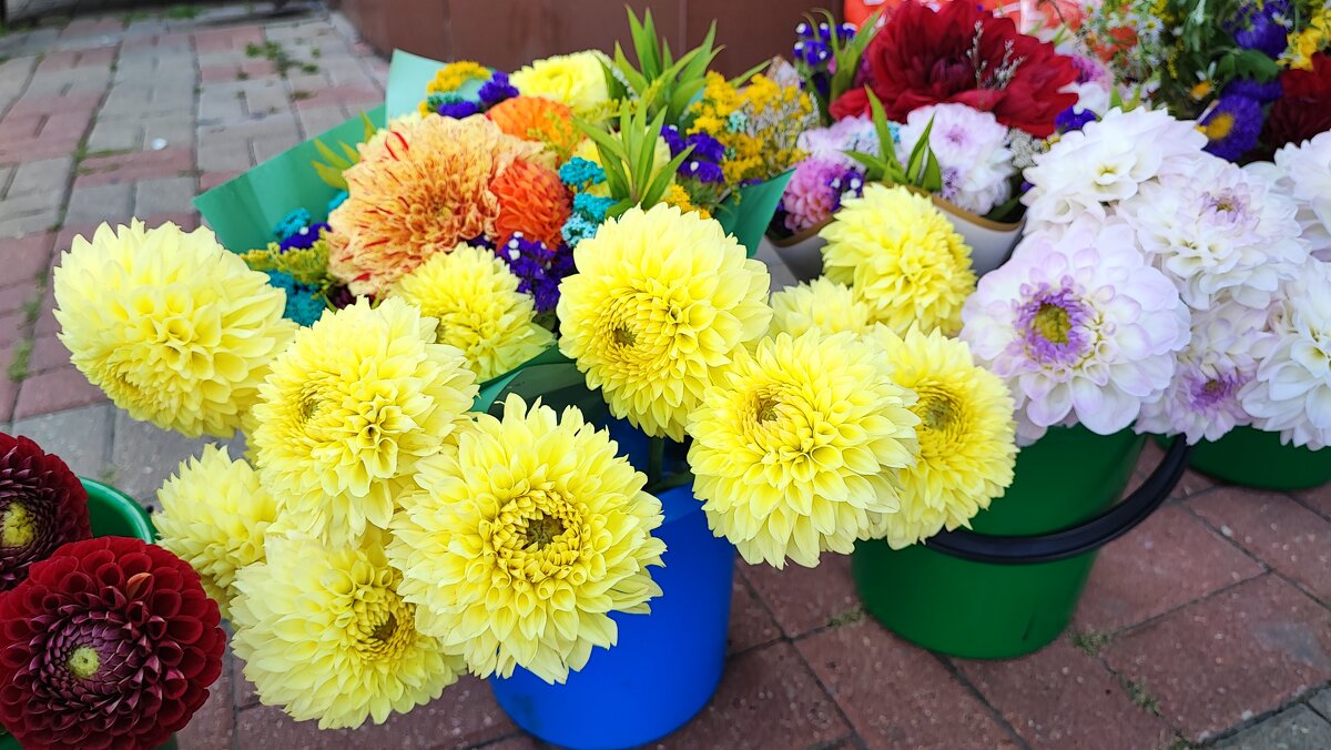 ,,, - Сергей Тимоновский