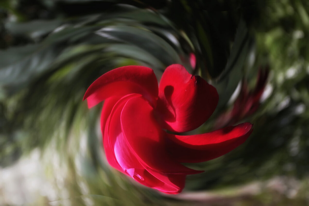 ---Tenderness--- - AL Reborn 