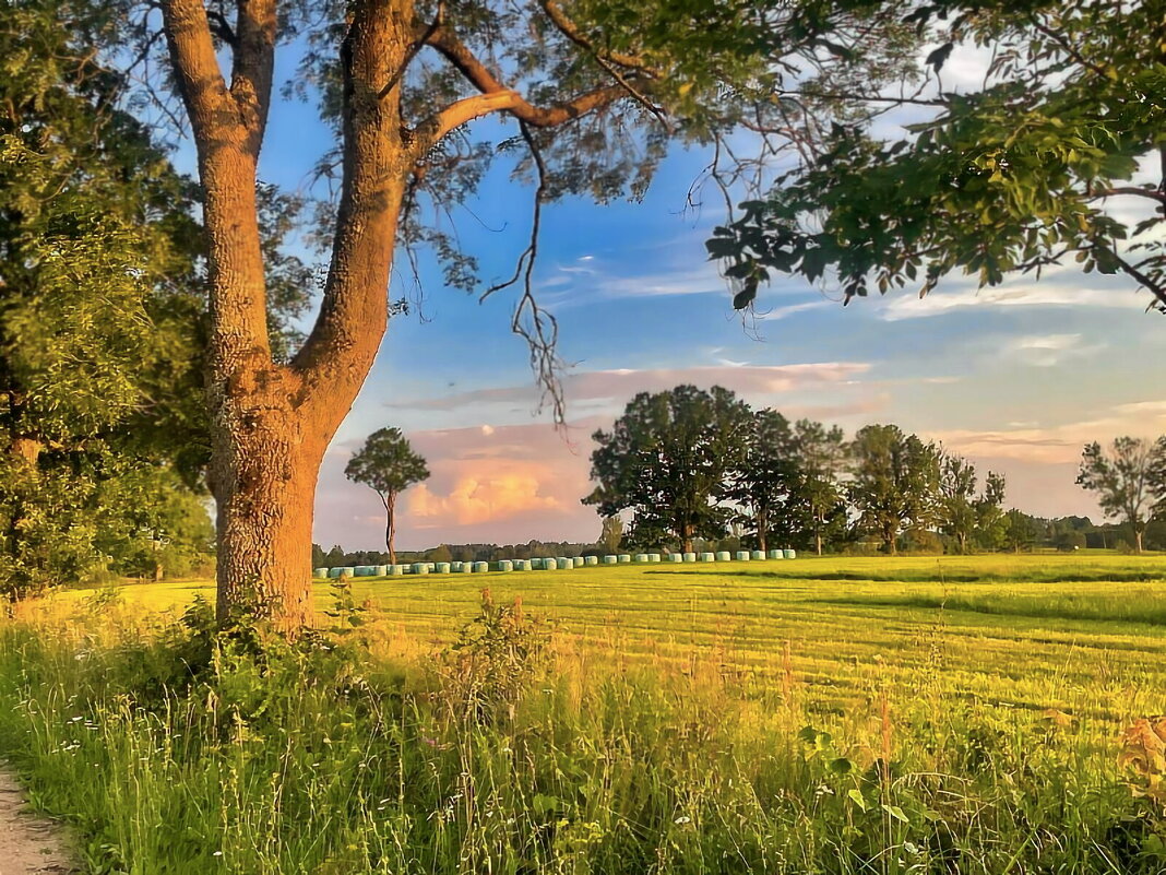 Summer 2025 5 - Arturs Ancans Summer 2025 5 - Arturs Ancans