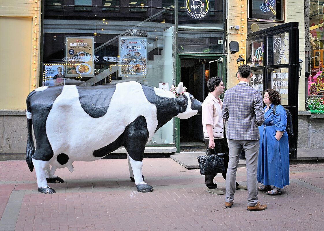 - - Владимир Мигонькин