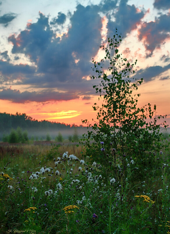 на рассвете - Сергей Бойцов