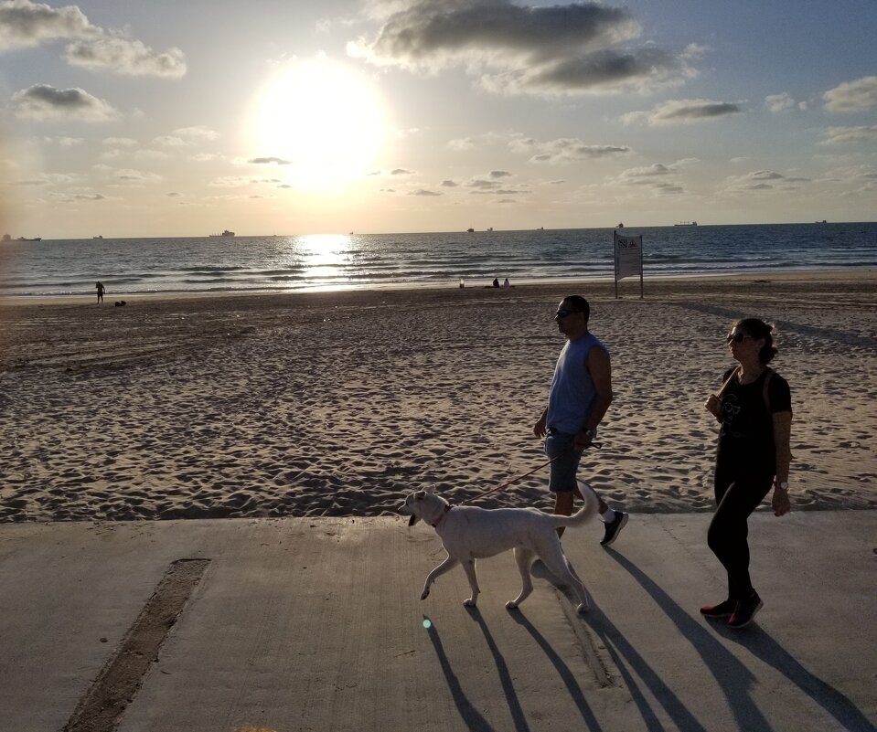 " - Светлана Хращевская