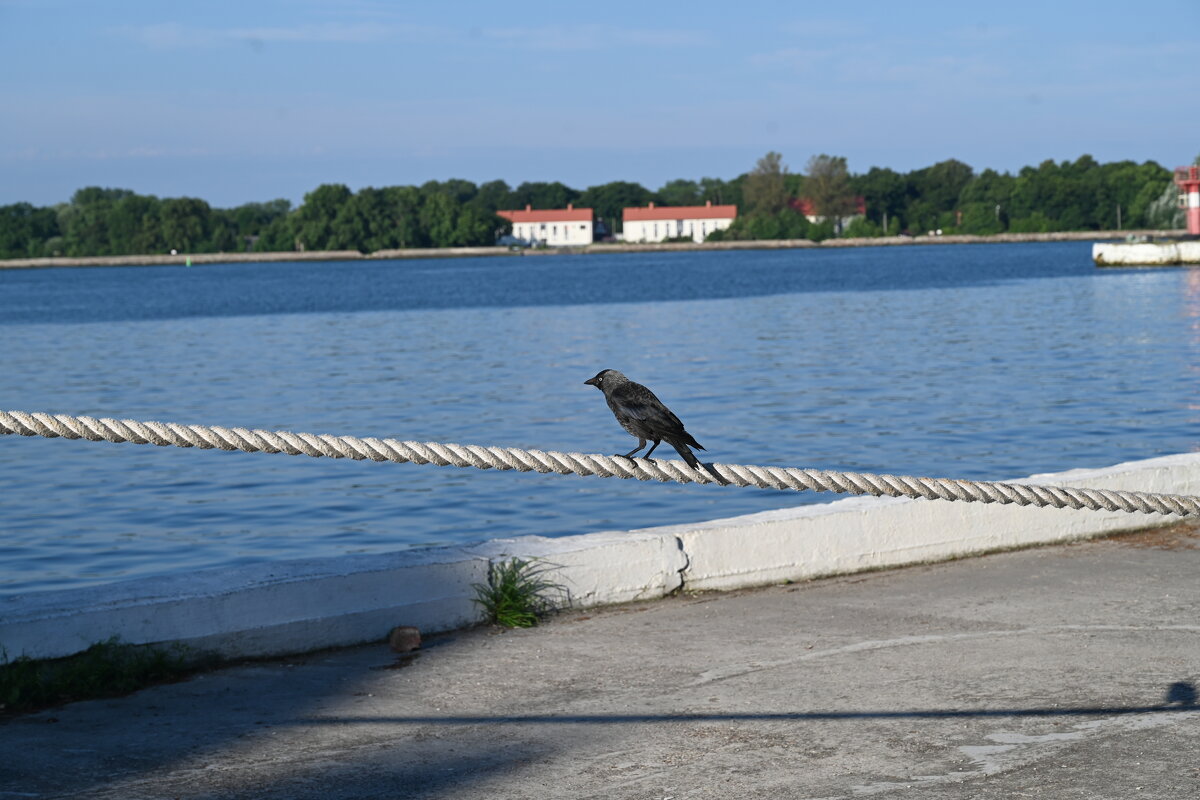 Солнечный город - redfox 