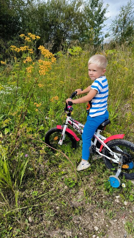 Я буду долго гнать велосипед... - Ольга 