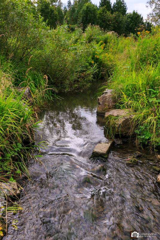 Речка - Сергей Винтовкин