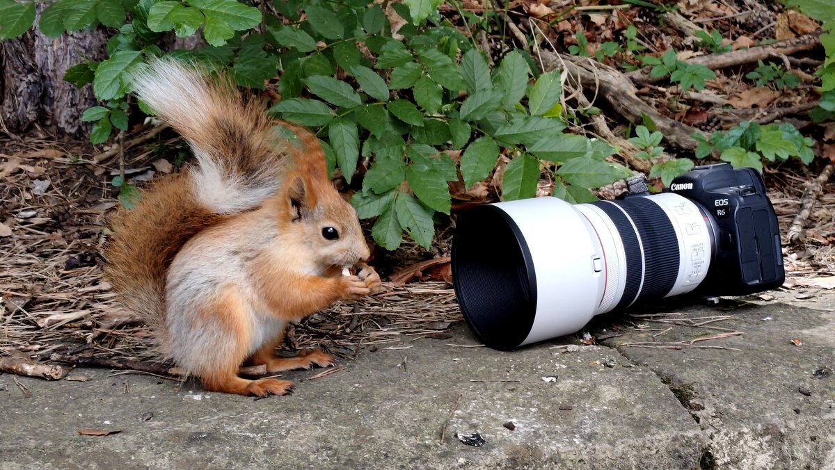 Ладно, снимай!!! - Александр Кондаков