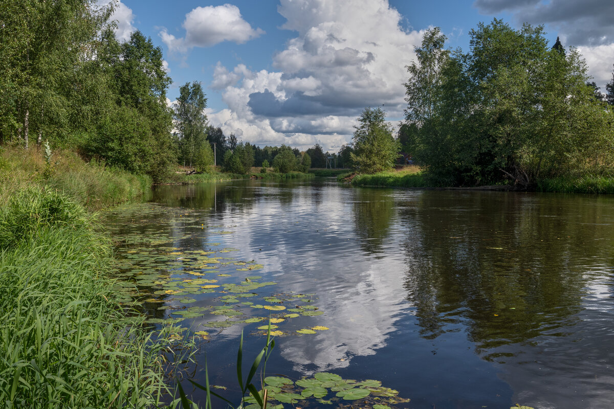 пос. Вырица, р. Оредеж - Юрий Бутусов