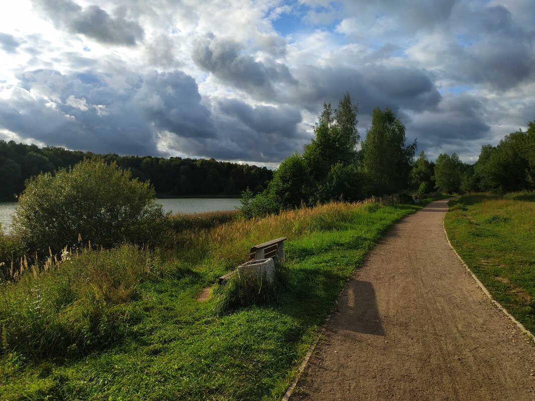 * * * - Андрей Лукьянов