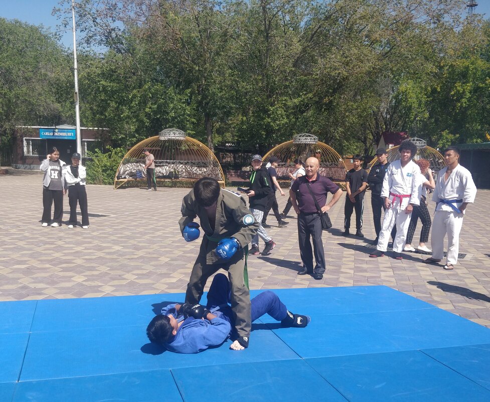 Борьба - Андрей Хлопонин